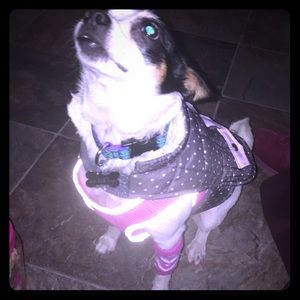 Jules says “hey guys! Shop my wildfox stuff!”